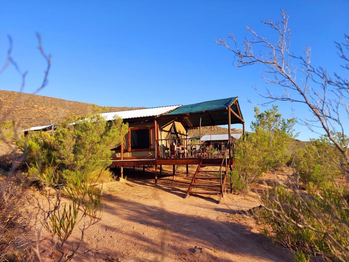 Agama Tented Camp Garies Luaran gambar